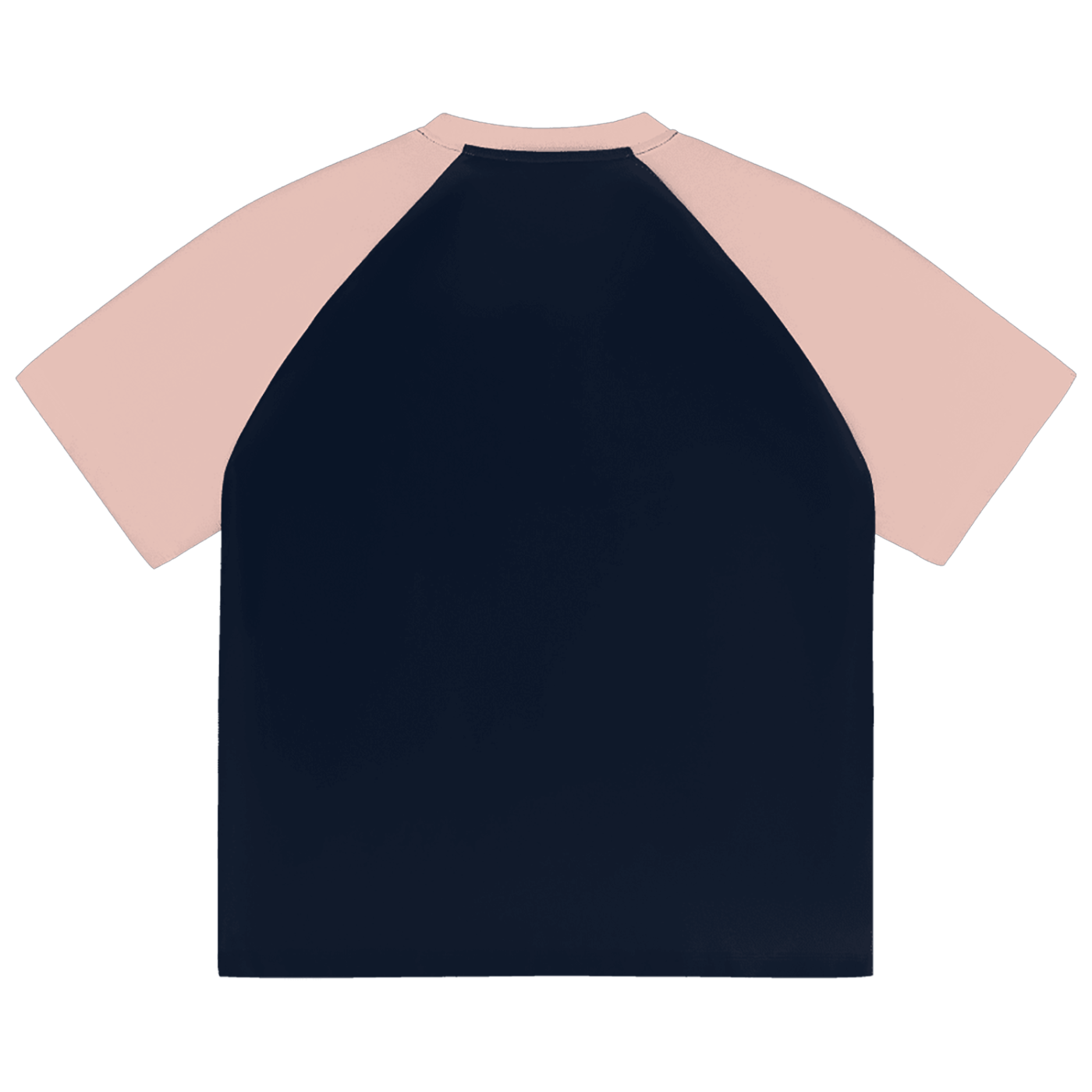Progress of humanity raglan T shirt