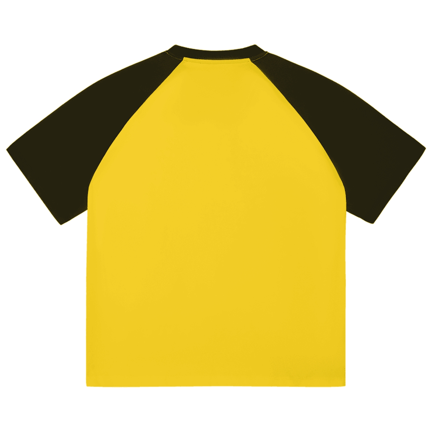 Progress of Technology raglan T shirt